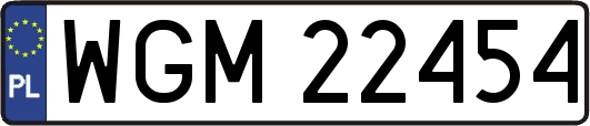WGM22454