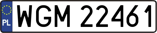 WGM22461