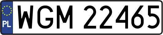 WGM22465