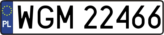 WGM22466