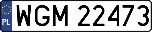 WGM22473