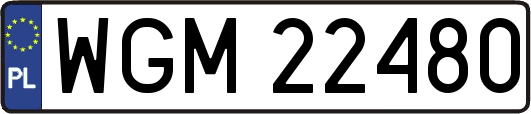 WGM22480