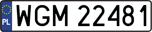 WGM22481