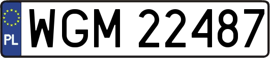 WGM22487