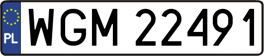 WGM22491