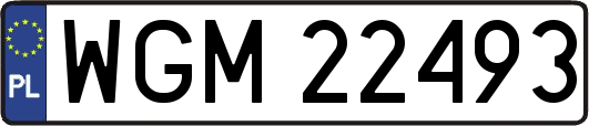 WGM22493