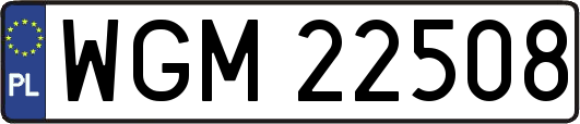 WGM22508