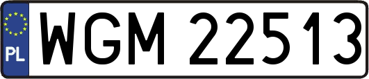 WGM22513