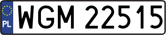 WGM22515