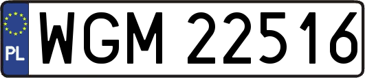 WGM22516