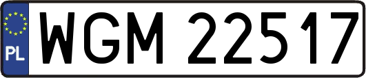 WGM22517