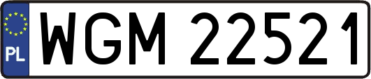 WGM22521