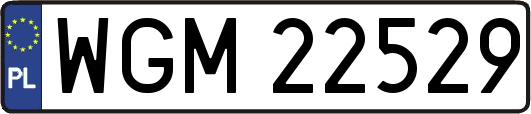 WGM22529