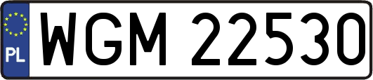 WGM22530