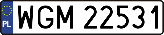WGM22531