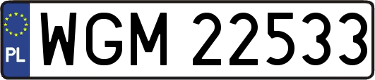 WGM22533