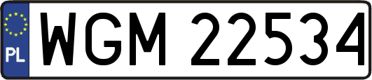 WGM22534