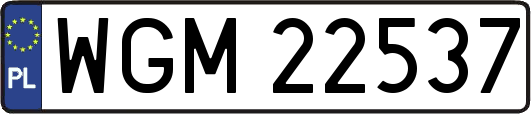 WGM22537