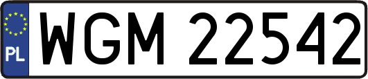 WGM22542