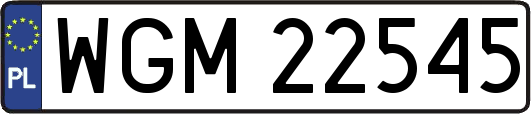 WGM22545