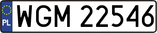 WGM22546