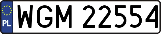 WGM22554