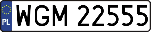 WGM22555