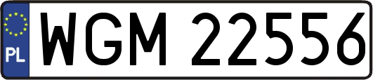 WGM22556