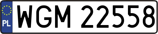 WGM22558