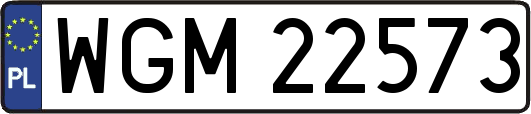 WGM22573