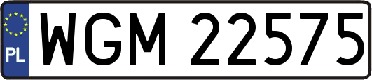 WGM22575