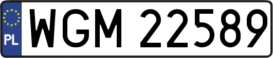 WGM22589