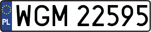 WGM22595