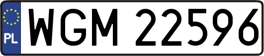 WGM22596