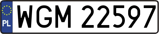 WGM22597