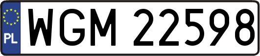 WGM22598
