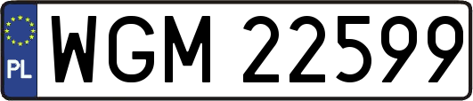 WGM22599