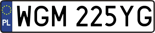WGM225YG