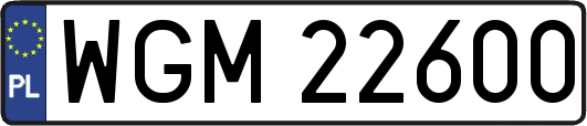 WGM22600