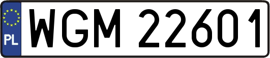 WGM22601