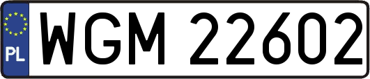 WGM22602