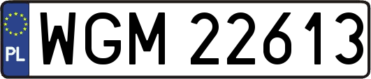WGM22613