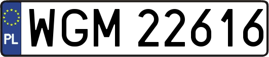 WGM22616