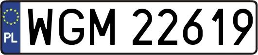 WGM22619