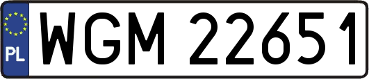 WGM22651