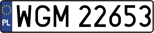 WGM22653