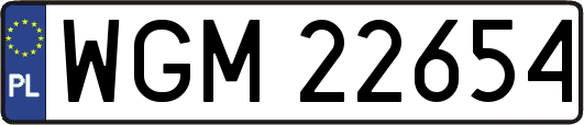 WGM22654