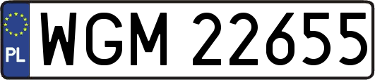 WGM22655