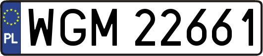 WGM22661