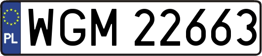 WGM22663